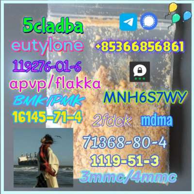 1119-51-3 factory direct sale price discount