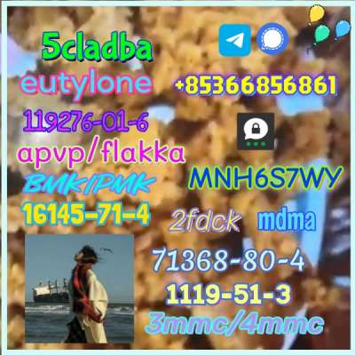 1119-51-3 factory direct sale price discount