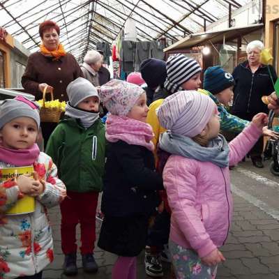 Budzi się wiosna - budzą sie mali wolontariusze - akcja społeczna na rzecz Hospicjum Domowego św. Wincentego a’Paulo w Słubicach [FOTO] + [VIDEO]