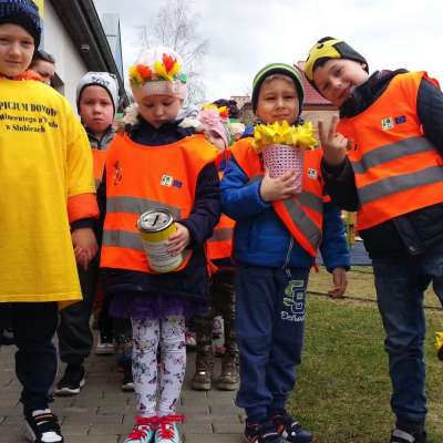 Budzi się wiosna - budzą sie mali wolontariusze - akcja społeczna na rzecz Hospicjum Domowego św. Wincentego a’Paulo w Słubicach [FOTO] + [VIDEO]
