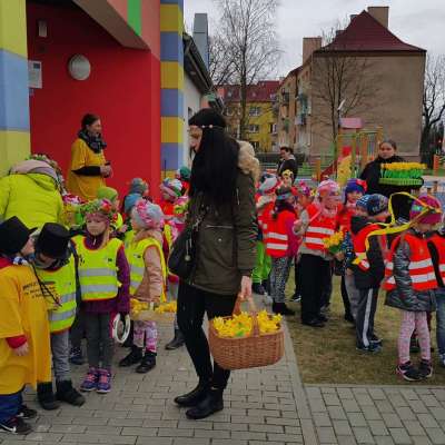 Budzi się wiosna - budzą sie mali wolontariusze - akcja społeczna na rzecz Hospicjum Domowego św. Wincentego a’Paulo w Słubicach [FOTO] + [VIDEO]