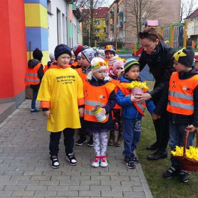 Budzi się wiosna - budzą sie mali wolontariusze - akcja społeczna na rzecz Hospicjum Domowego św. Wincentego a’Paulo w Słubicach [FOTO] + [VIDEO]