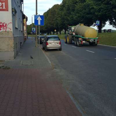 [Szybki News] - Odpadki mięsne w centrum Słubic - Szok!