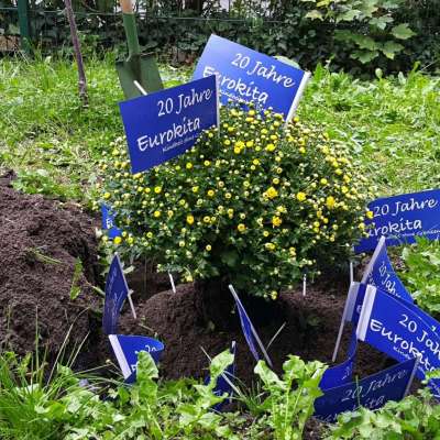 20 lat polsko-niemieckiego przedszkola EuroKita we Frankfurcie nad Odrą