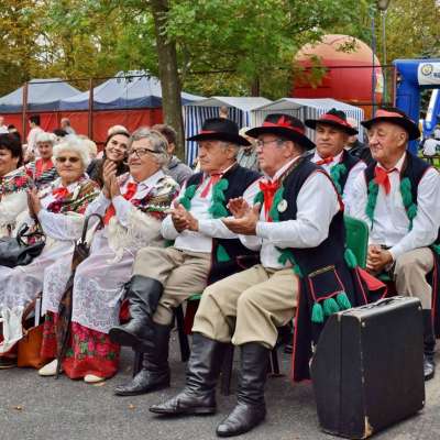 Łączy nas historia - 765 lecie Górzycy - festyn historyczny