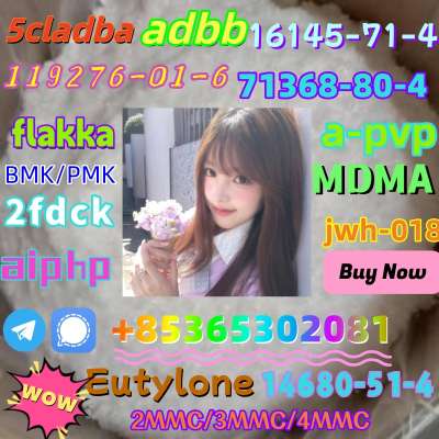 We sell high quality 119276-01-6raw material powder for free receipt if you buy!