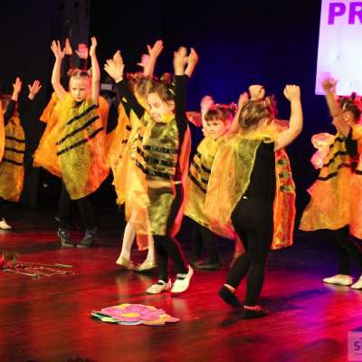 Lubuska Gala Taneczna - PRO ARTE 2017 - Słubice [FOTO] [VIDEO]