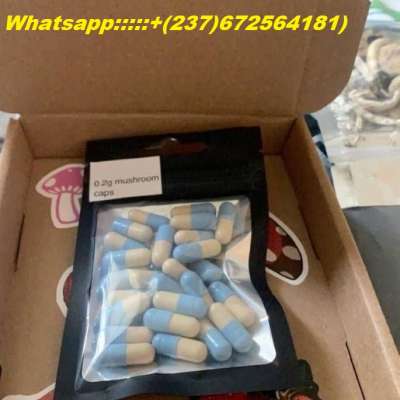WhatsApp:+(237)(672564181) BUY 1KG EUTYLONE,JWH018,5CLADBA,6CLADBA,FENTANY POWDER, JWH-073 JWH-200, JWH-250,JWH-2,ADB-BUTANICA, buy-ketamine-powder-online/Buy JWH-018 K2 Spice Infused Paper and K2 Paper Sheets Signal: +(34)607218704). Signal: +(34)607218