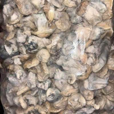 (WhatsApp.(+237)672564181) BUY KETAMINE ADDERALL WEED DILAUDID ENDICODI ONLINE