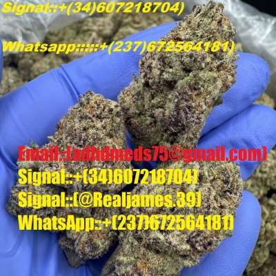 Signal(+34)607218704)Buy peptides,Mephedrone/4MMC/3MMC/3CMC/4CMC/APVP/Crystal Meth/5fadb/5cladba/K2 paper spray/ab-pinaca/Fentanyl powder/Alprazolam powder/Amphetamine/Heroin/Bromadol/Clonazepam powder/Buy Ketamine online/Xanax powder