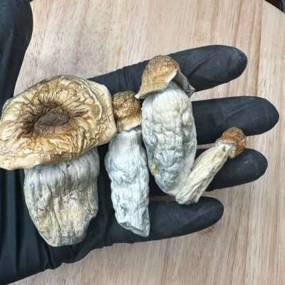 WhatsApp: +(237)(672564181) BUY JWH018,5CLADBA,6CLADBA,FENTANY POWDER, JWH-073 JWH-200, JWH-250,JWH-2,ADB-BUTANICA, buy-ketamine-powder-online/Buy JWH-018 K2 Spice Infused Paper and K2 Paper Sheets IN AUS,USA,UK,EUROPE