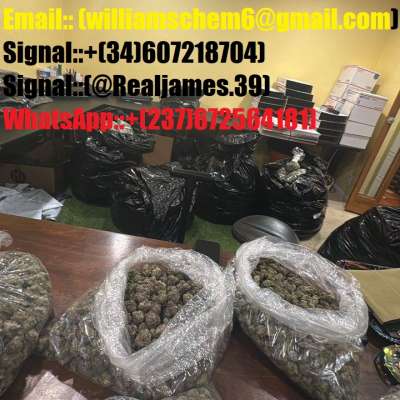 Signal: +(34)607218704) Buy peptides,6cladba, 6cl-adb-a, 5cladba,Steroids for sale online in Europe, buy original anabolic steroids in Europe. Buy Testosterone, Winstrol, HGH, Dianabol, Anavar, Somatropin online in usa,uk,europe
