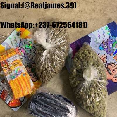 WhatsApp:+(237)(672564181)Buy Nembutal online, Diazepam, Xanax, XTC, Methamphetamine, Valium, Oxynorm, Oxycodone, Oxycontin, Ritalin, Adderall without prescription. (Safe and discreet Buy medicine, 100% guaranteed) IN AUS,USA,UK,EUROPE