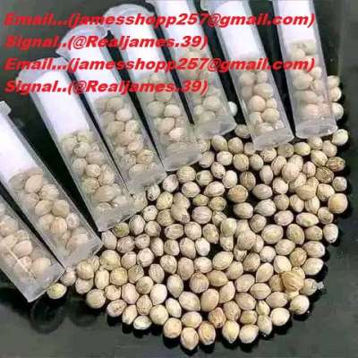 Signal..@Realjames.39, BUY DMT VAPES,3MMC KETAMINE#DMT#VAPE#PEN #COKE#MDMA, ADHD,STERIODS SUPPLEMENTS, WEGOVY, OZEMPIC, SEXANDA | MDMA, 2CB IN USA,UK,EUROPE