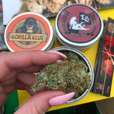 drugs for sell 