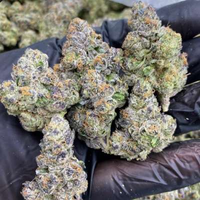 drugs for sell 