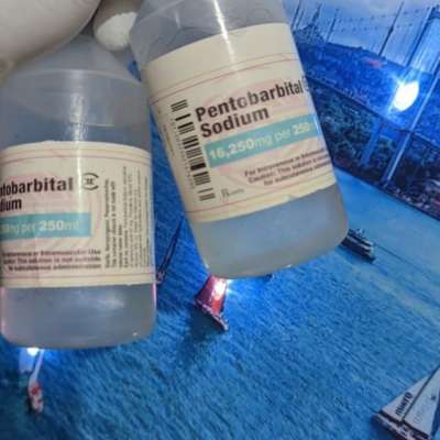 Buy PENTOBARBITAL SODIUM IN UK,USA,AUSTRALIA,SPAIN,UAE,SPAIN. Whatsapp:+447447025920