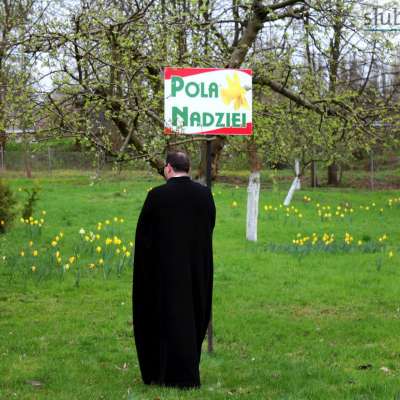 Pola Nadziei w Słubicach [FOTO]