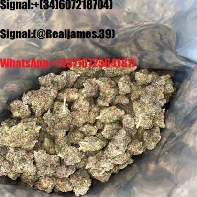 Signal: (@Realjames.39)Buy Anabolic Steroids Anabolic Steroids Price Anabolic Steroids Benefits Buy Testosterone Cypionate 250mg Buy Testosterone Cypionate Online With Credit Card Best Site To Buy Testosterone Online Buy Testosterone Cypionate 250mg Buy T