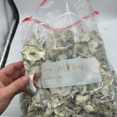 Buy WH018,5CLADBA,6CLADBA ,GHB BDO GBL gamma Butyrolactone wheel cleaner Signal: +34 607218704