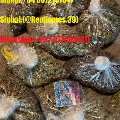 WhatsApp:+(237)(672564181)Buy Nembutal online, Diazepam, Xanax, XTC, Methamphetamine, Valium, Oxynorm, Oxycodone, Oxycontin, Ritalin, Adderall without prescription. (Safe and discreet Buy medicine, 100% guaranteed) IN AUS,USA,UK,EUROPE